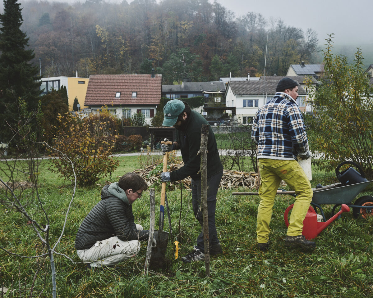 251108 Heckentag DSC1993