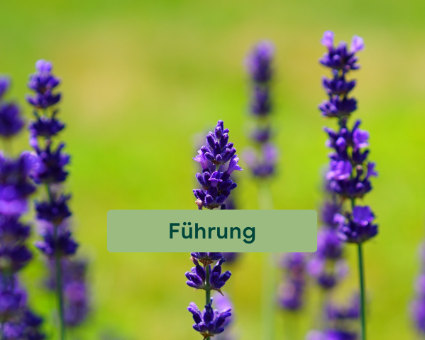 Sg 26 Führung alles Dufte