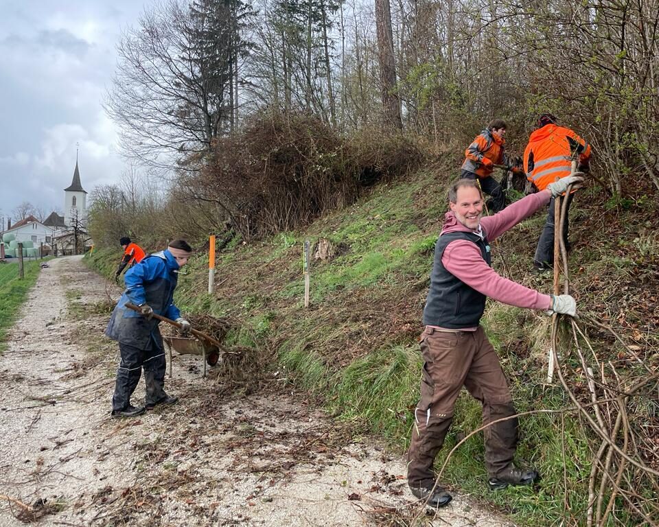 7e9dc98816355ef685afebd2dae00291