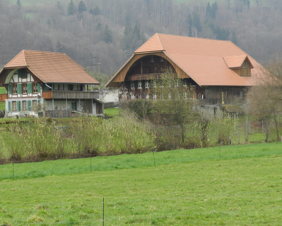 Bauernhof Grunder Nesselbank ms
