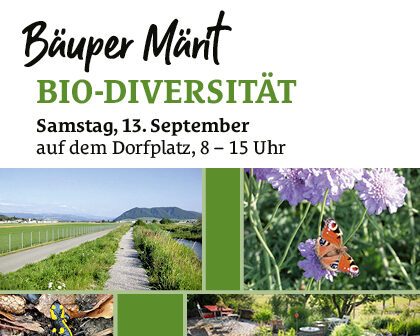 26136 Belp Flyer Maerit Bio Markt 2025 A5