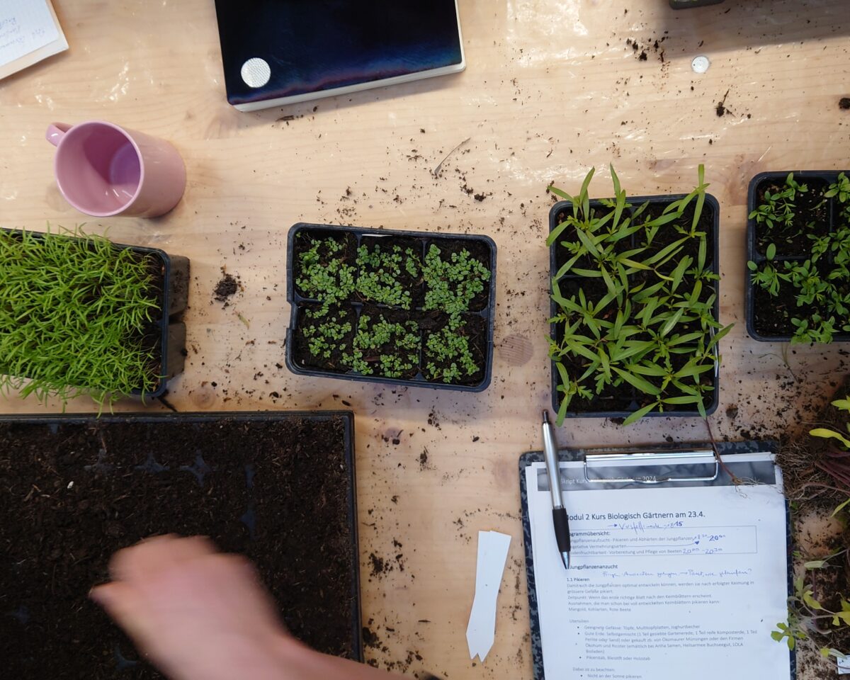 Bild Biologisch Gärtnern