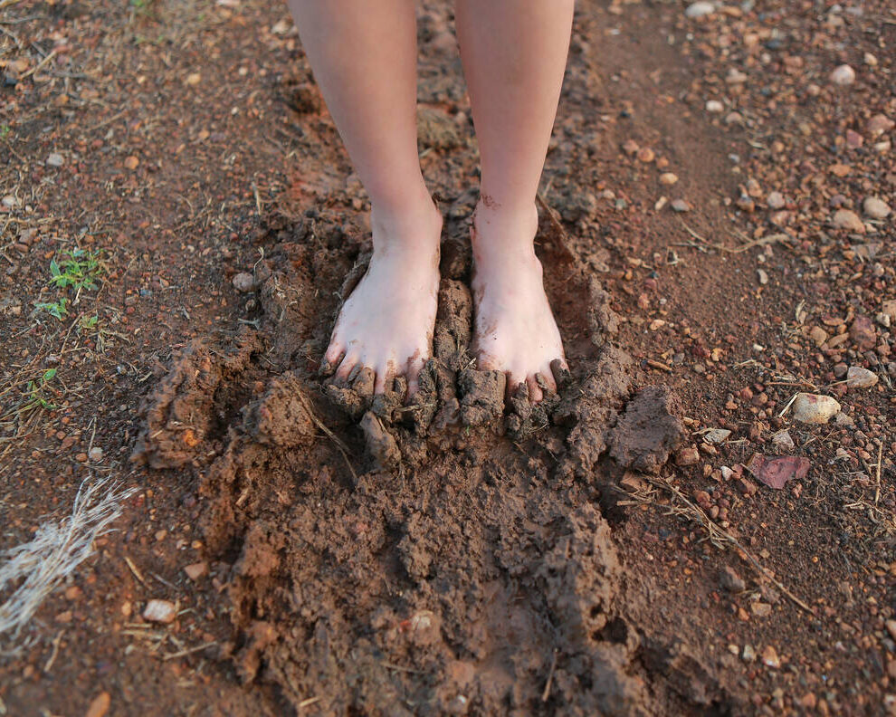 Shutterstock 1539778532 cr golfx