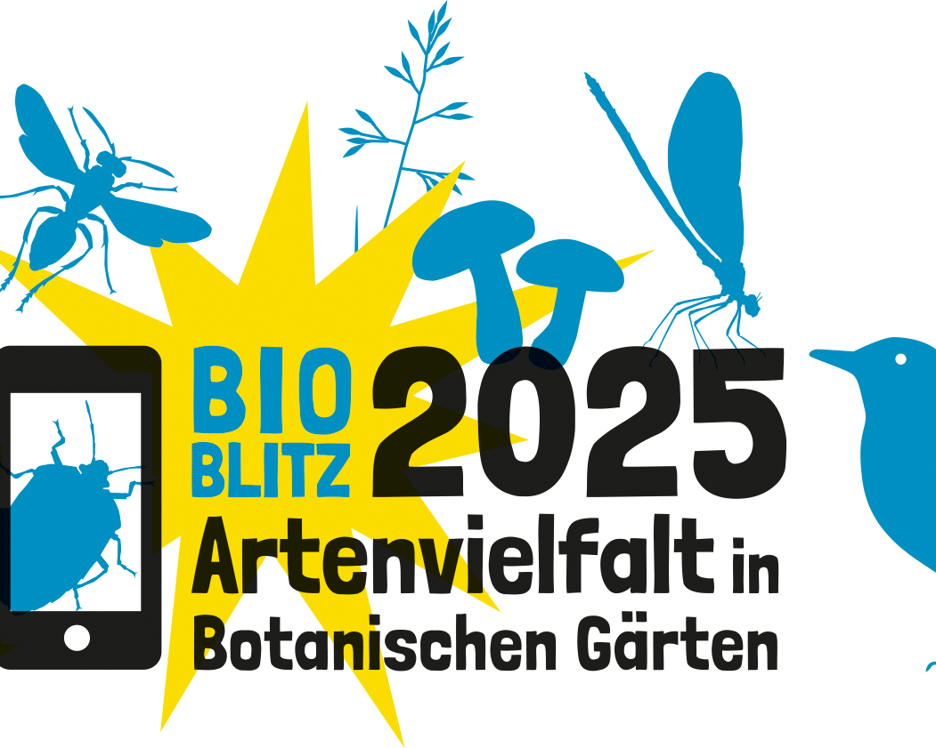 Bioblitz Logo 04 groß