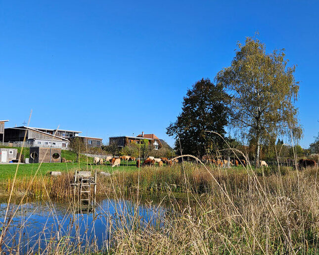 Demeterhof Schüpfenried Foto aus der Website