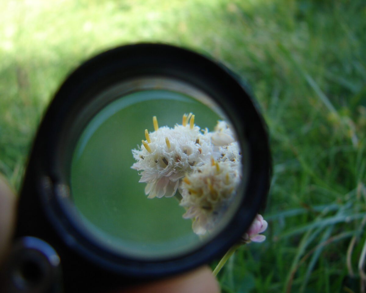 10 Detailverliebt Tamara