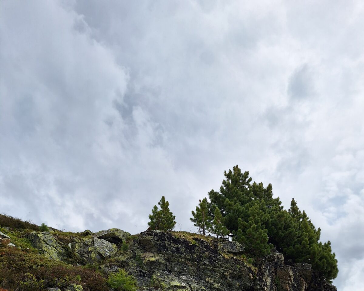 5 Entführung Scarlett Joseph