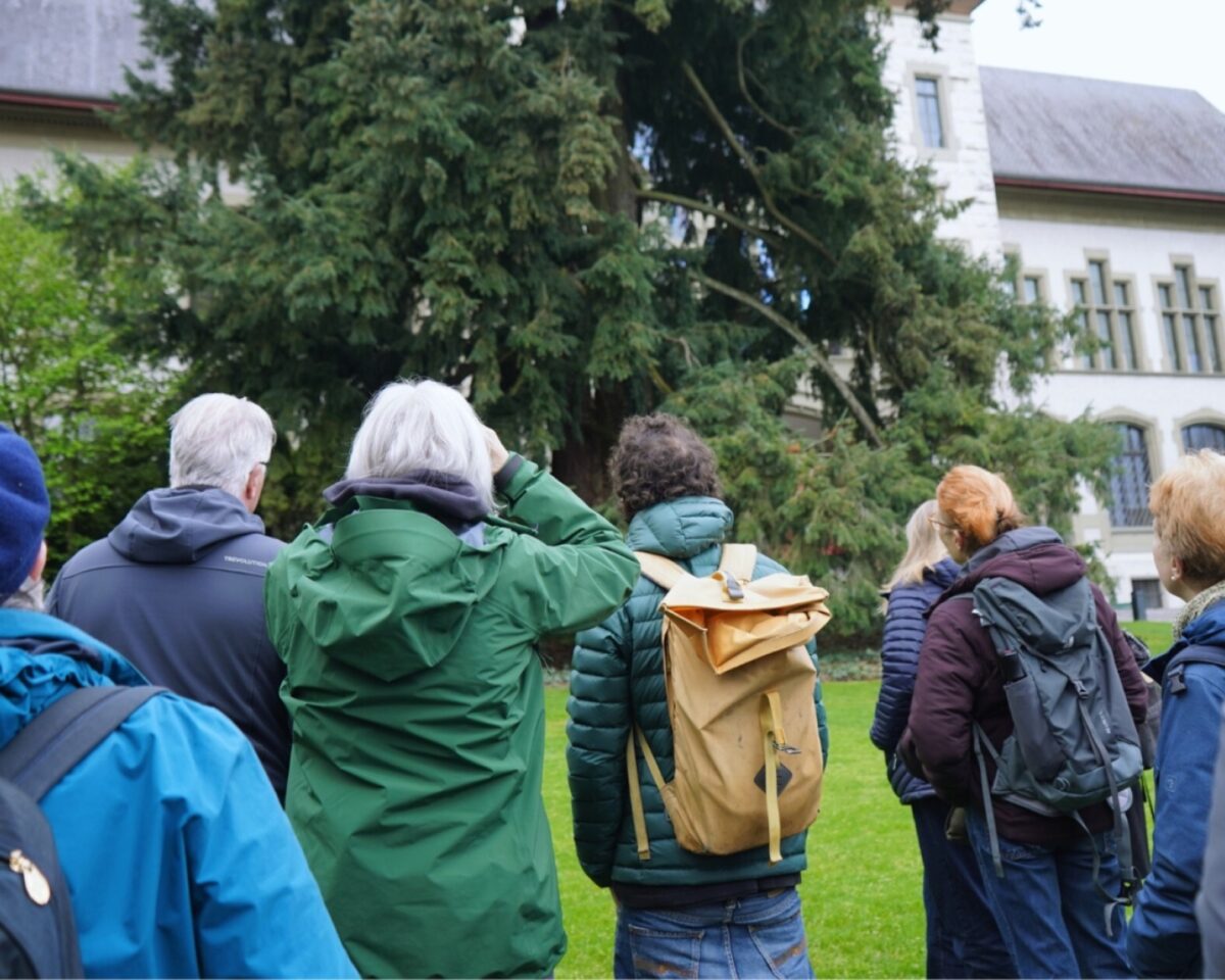 Early Birds Focus Fill Wy Iw Lj Aw Iiwi MC4w MC Is M Tkw M Cwx Mj Y3 XQ