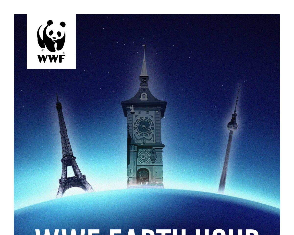 Flyer A3 2024 Internet Earth Hour