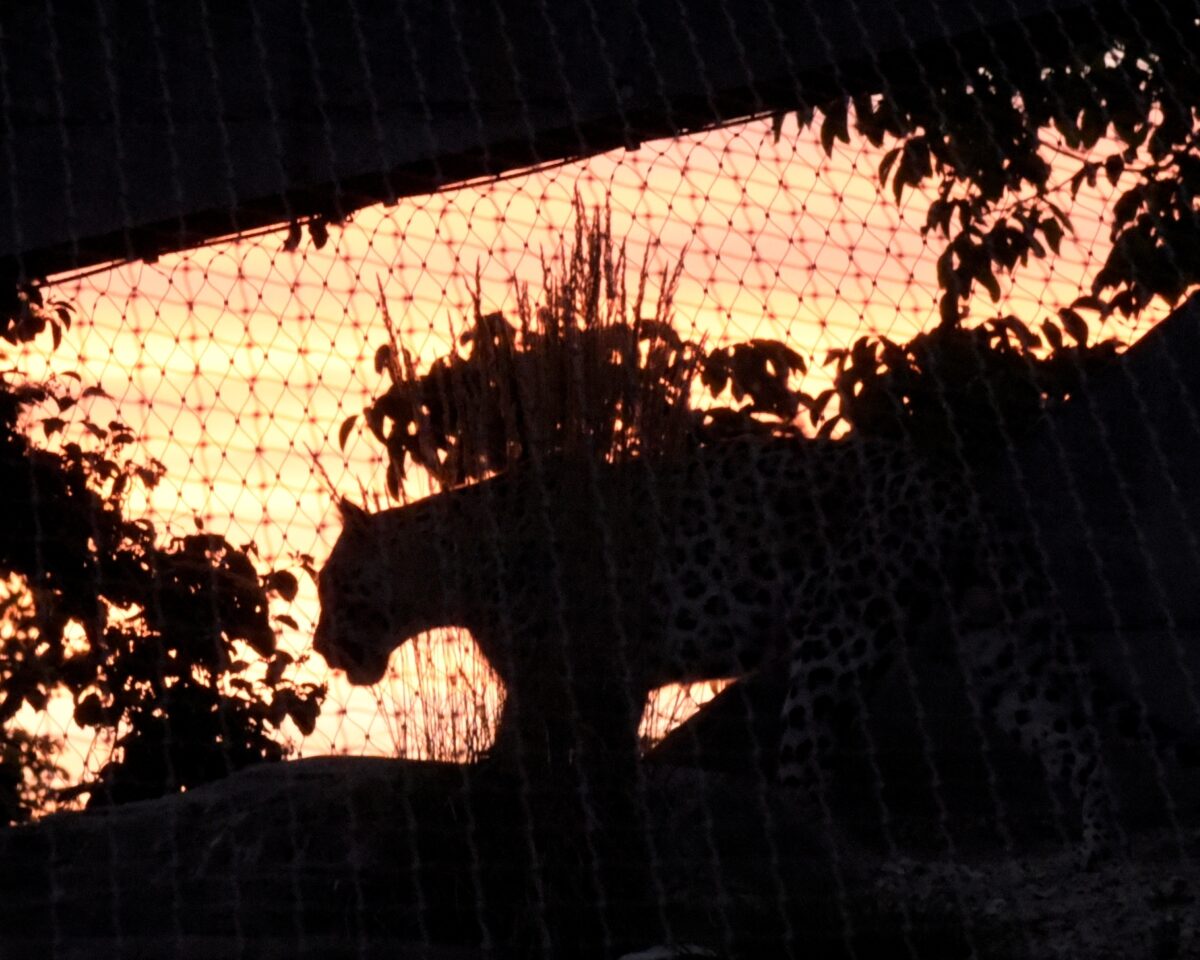 Übernachtung EW SLD2228