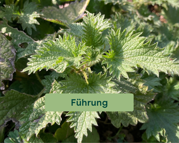 Sg 26 Führung Energiedurch