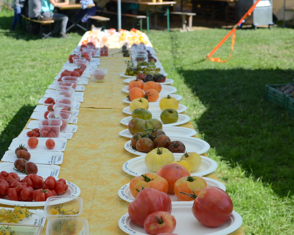 250914 Erntefest Weltacker 7