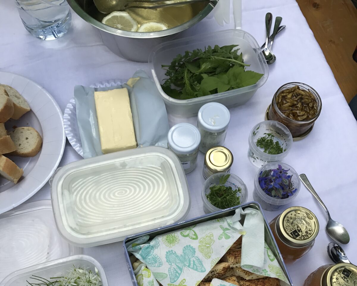 WW essbare Wildpflanzen2 N In