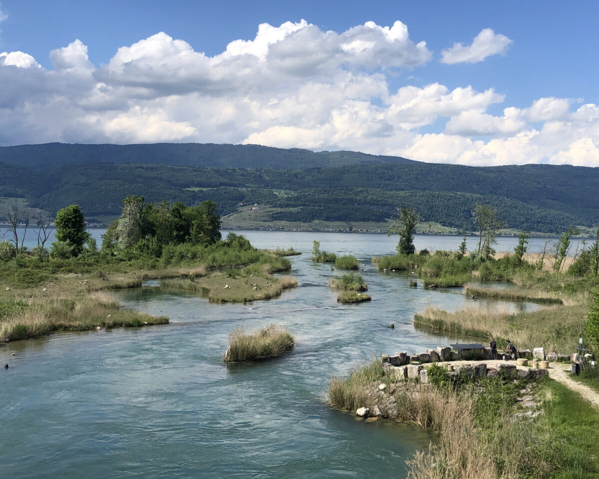 Aaredelta Hagneck sfu