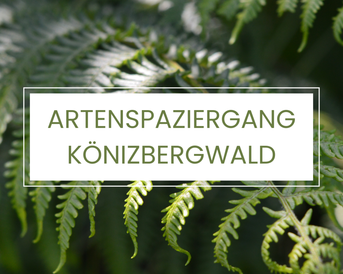 Artenspaziergang Banner