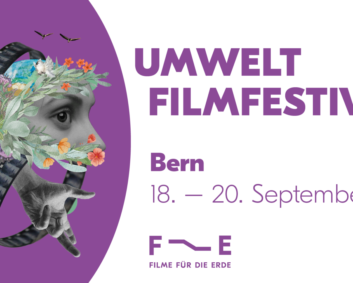 Festival 25 Header Bern 1
