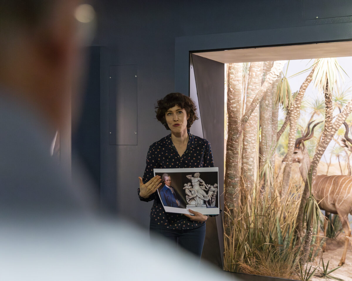 NMBE Dioramen Hintergründige Geschichten Tiere Afrikas Sarah Csernay NR 19