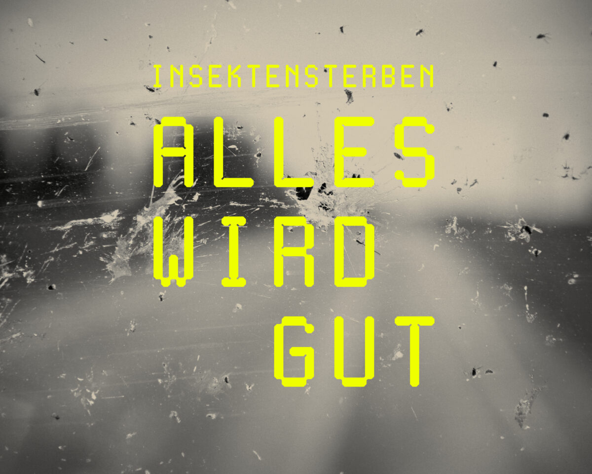 Nmbe insektensterben key visual4