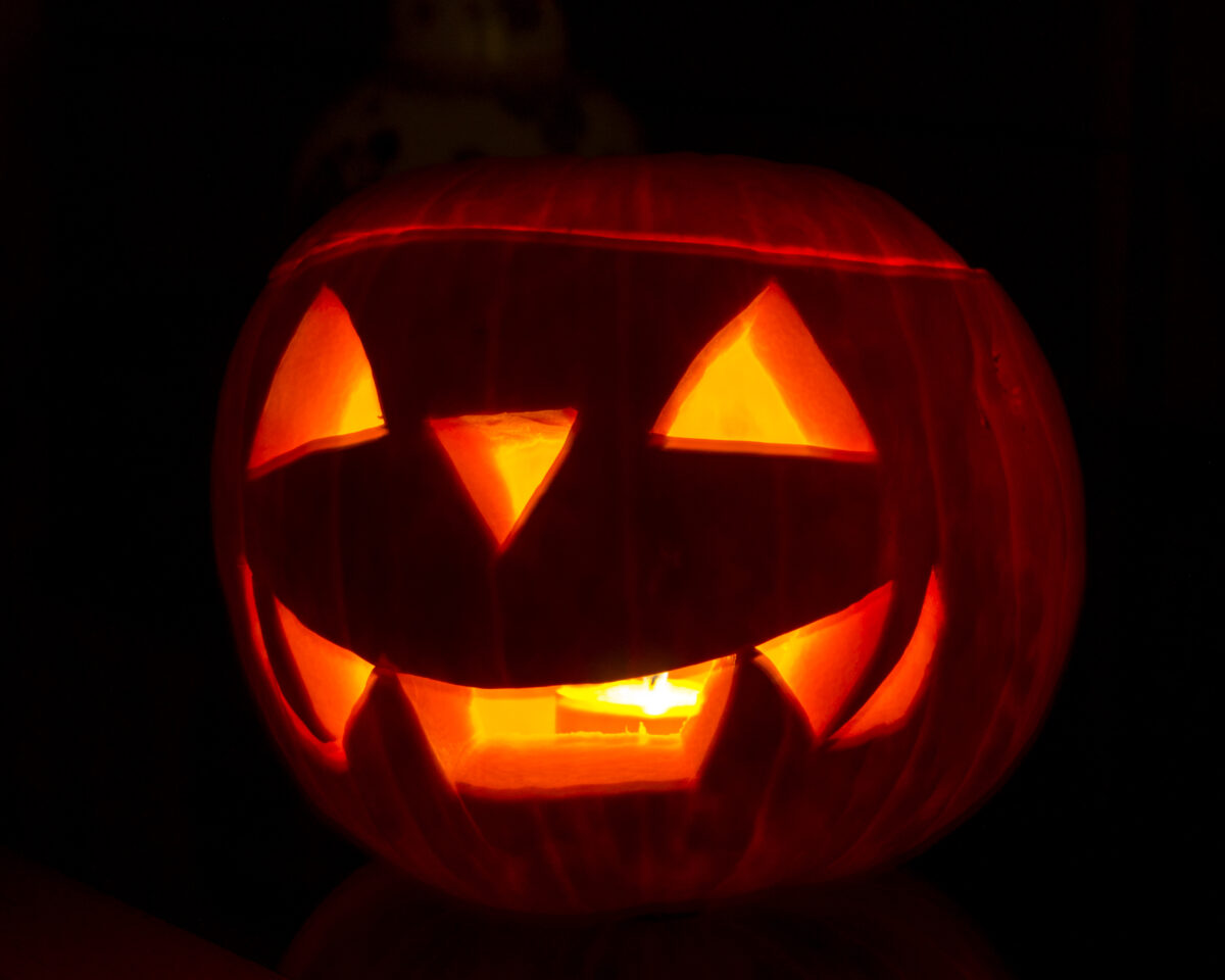 Halloween im Tierpark Wikipedia