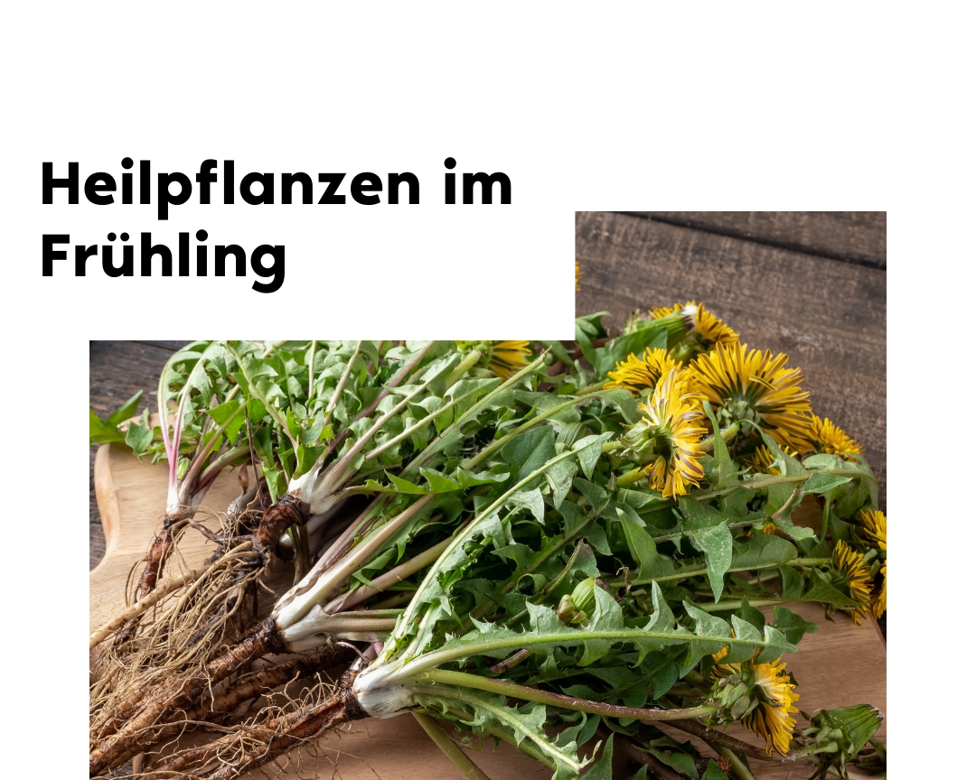 Kurs 2 Zeilig 2026 02 06 T162830 577