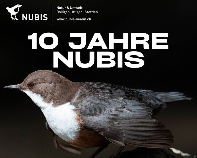 Bild Jubiläum Foto A Schmid