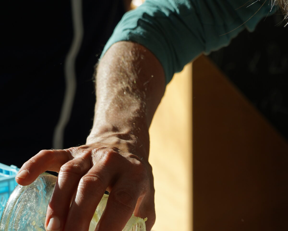 Naturkosmetik Kurs 25 10 23 Einfüllen von Lippenpomade budm