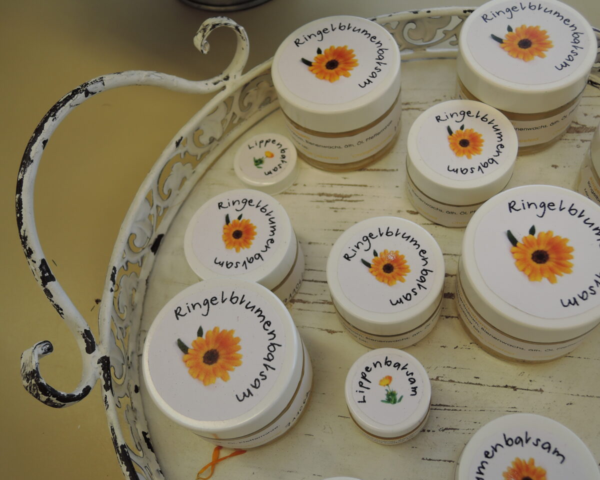 Ringelblumenbalsam Kräuter Seminar Abschluss Ausstellung Projektarbeiten budm
