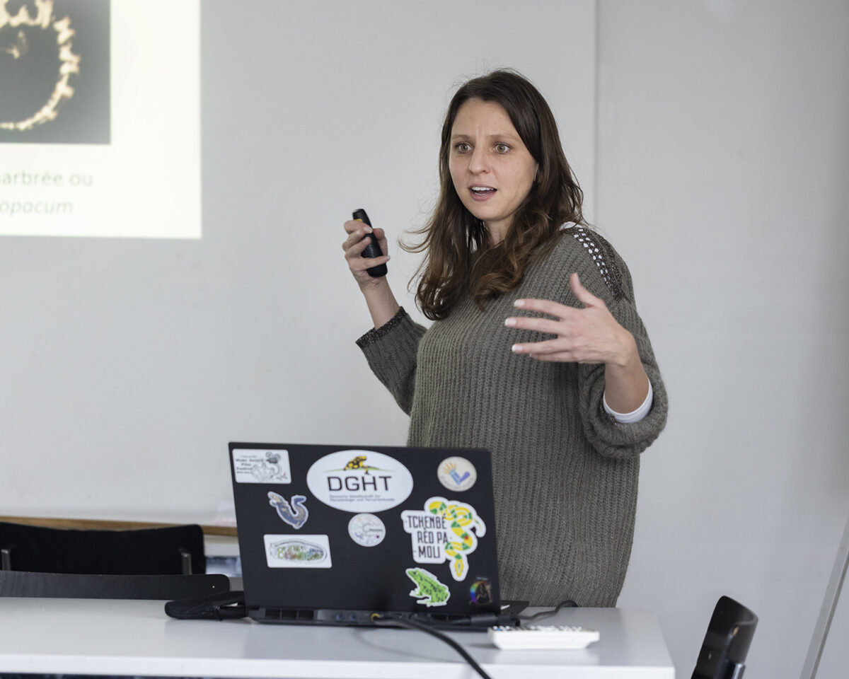 NMBE FHDK Les super pouvoirs des salamandres 232718