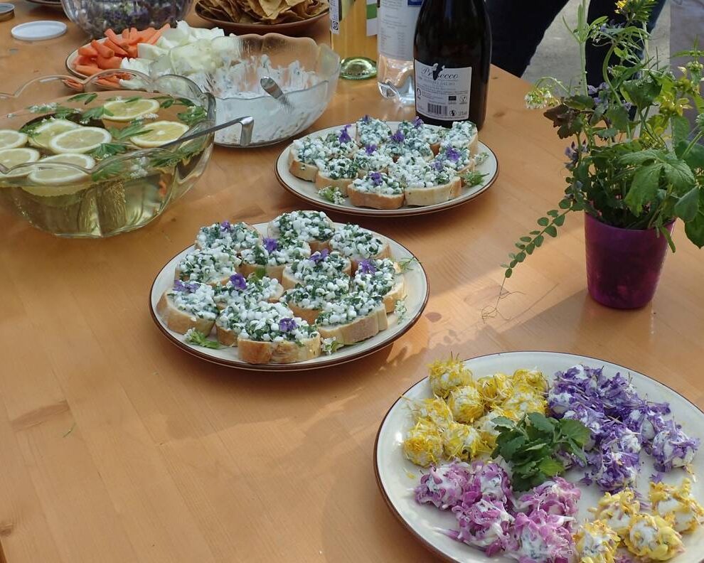 Kurs essbare wildpflanzen 1920x1411 cr claudia huber