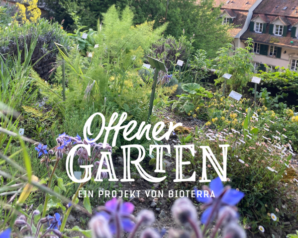 Offener Garten 26
