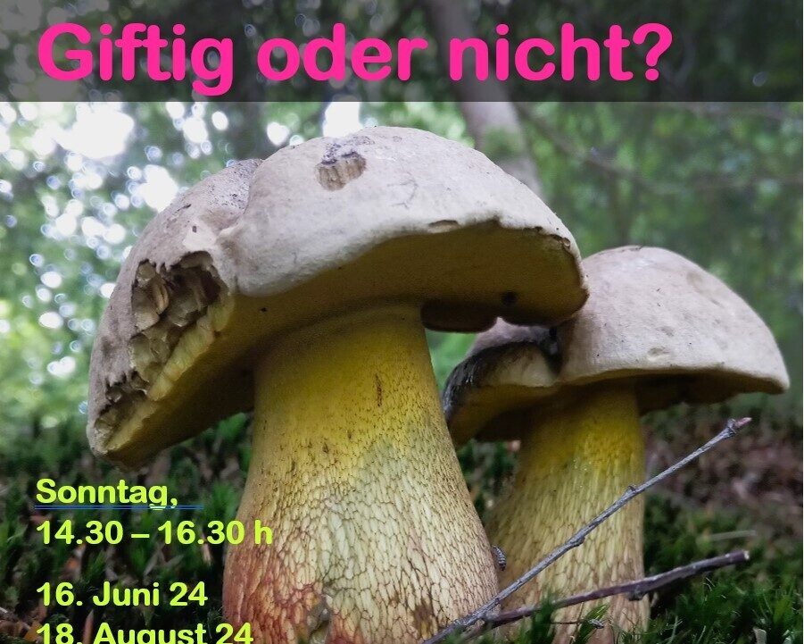 Flyer vorderseite quadratisch