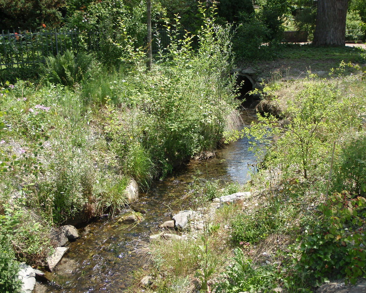 2008 Fliessgewaesser Dalmazibach 10 1
