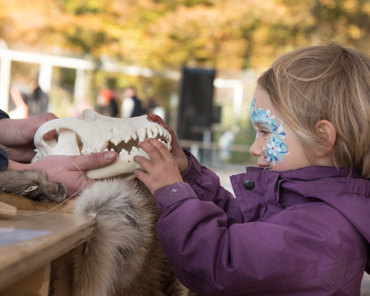 Raubtiere zum Greifen nah