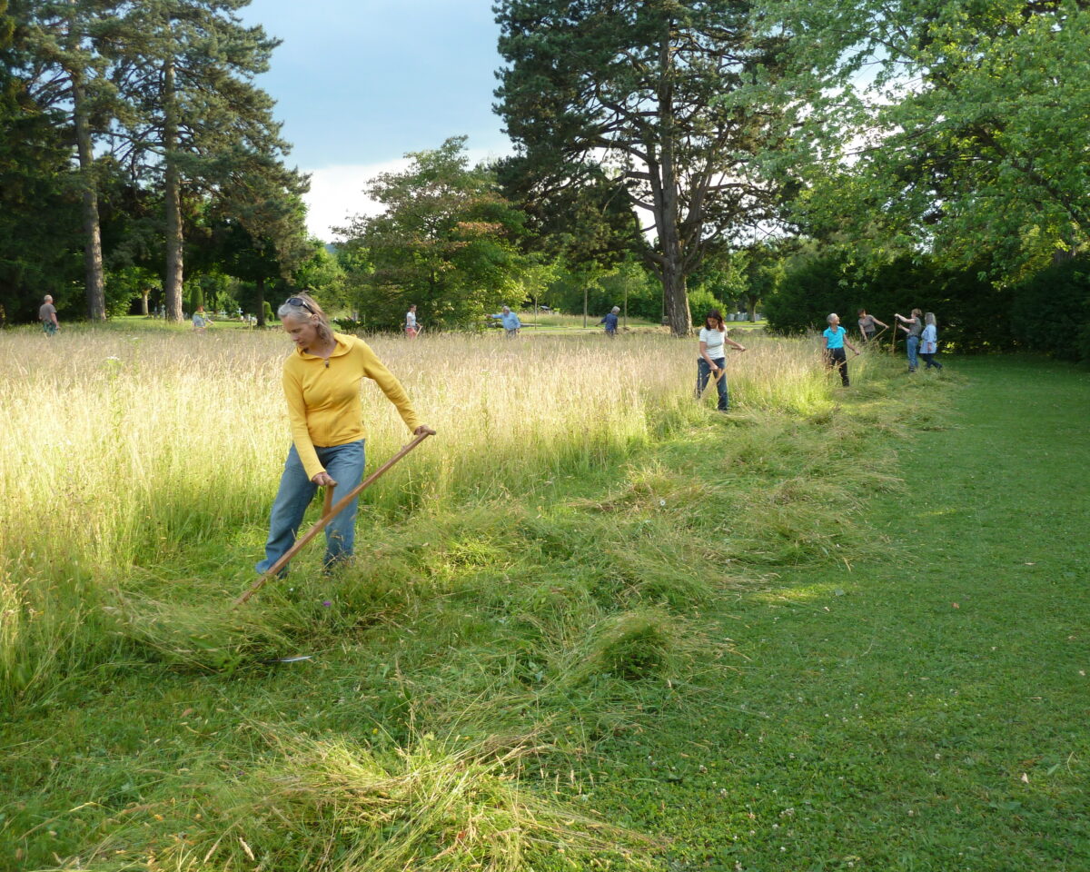00 Sensekurs Angela Losert