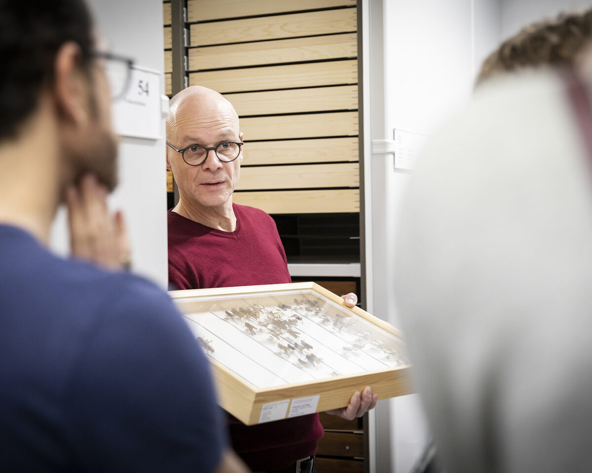 NMBE Tag naturhistorischer Sammlungen 8538