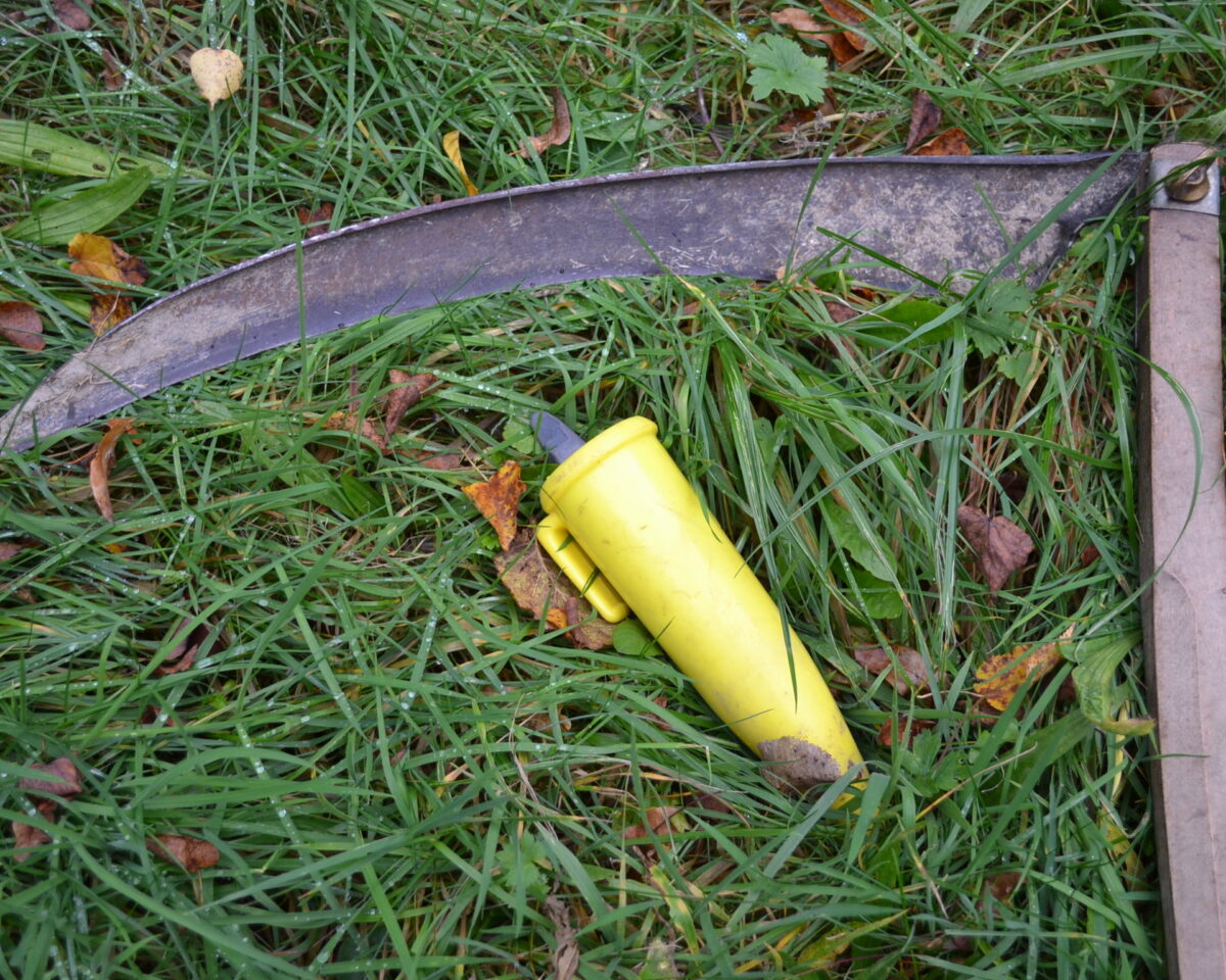 240601 Schnitt um Schnitt Bild M Zimmermann