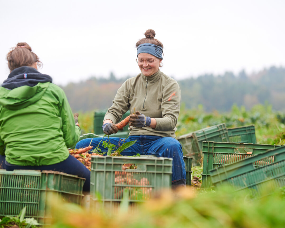 2410 mapatate Mayajoerg 060