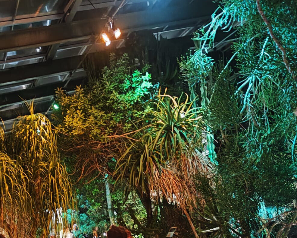 IMG 20241003 WA0003 zugeschnitten