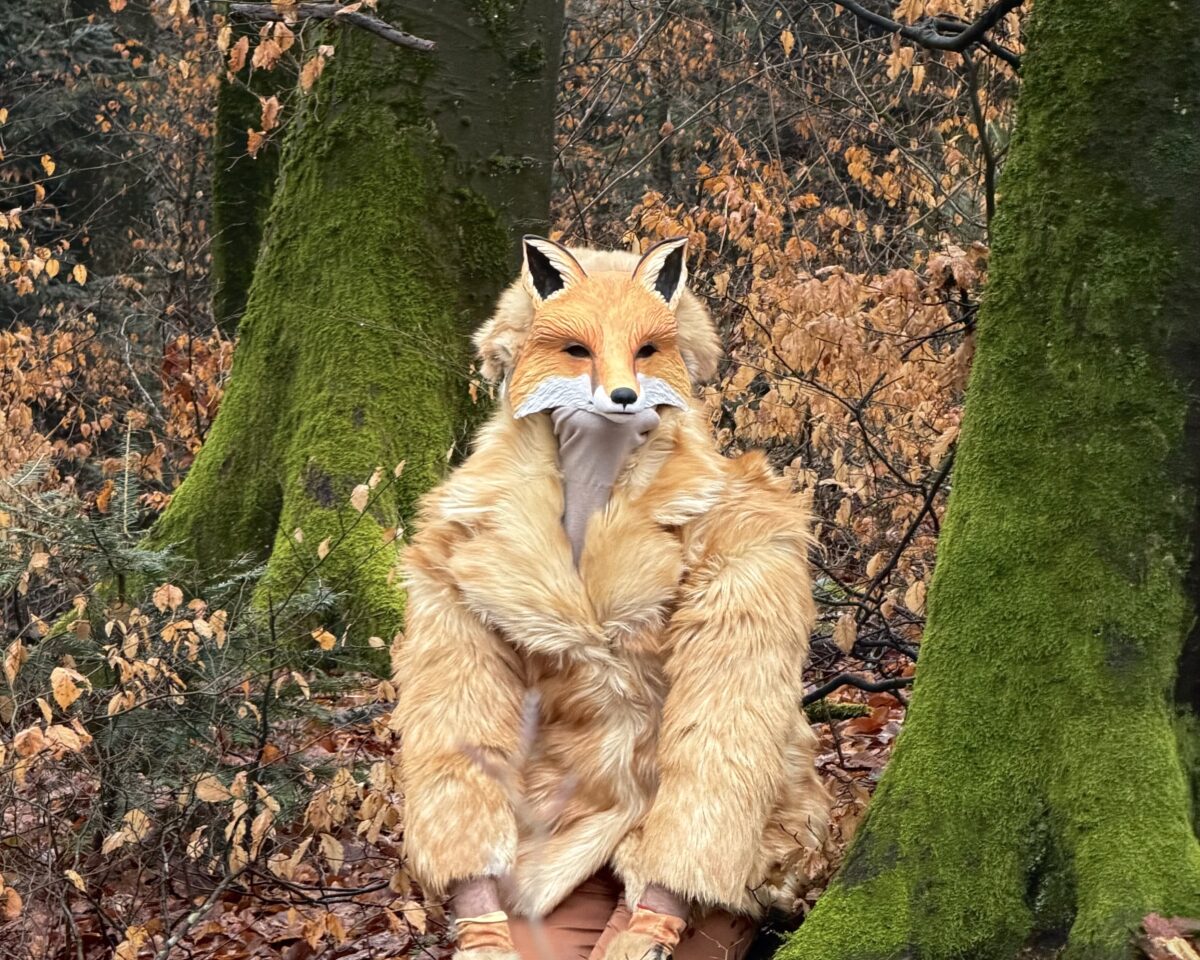 Fuchs Tier ART