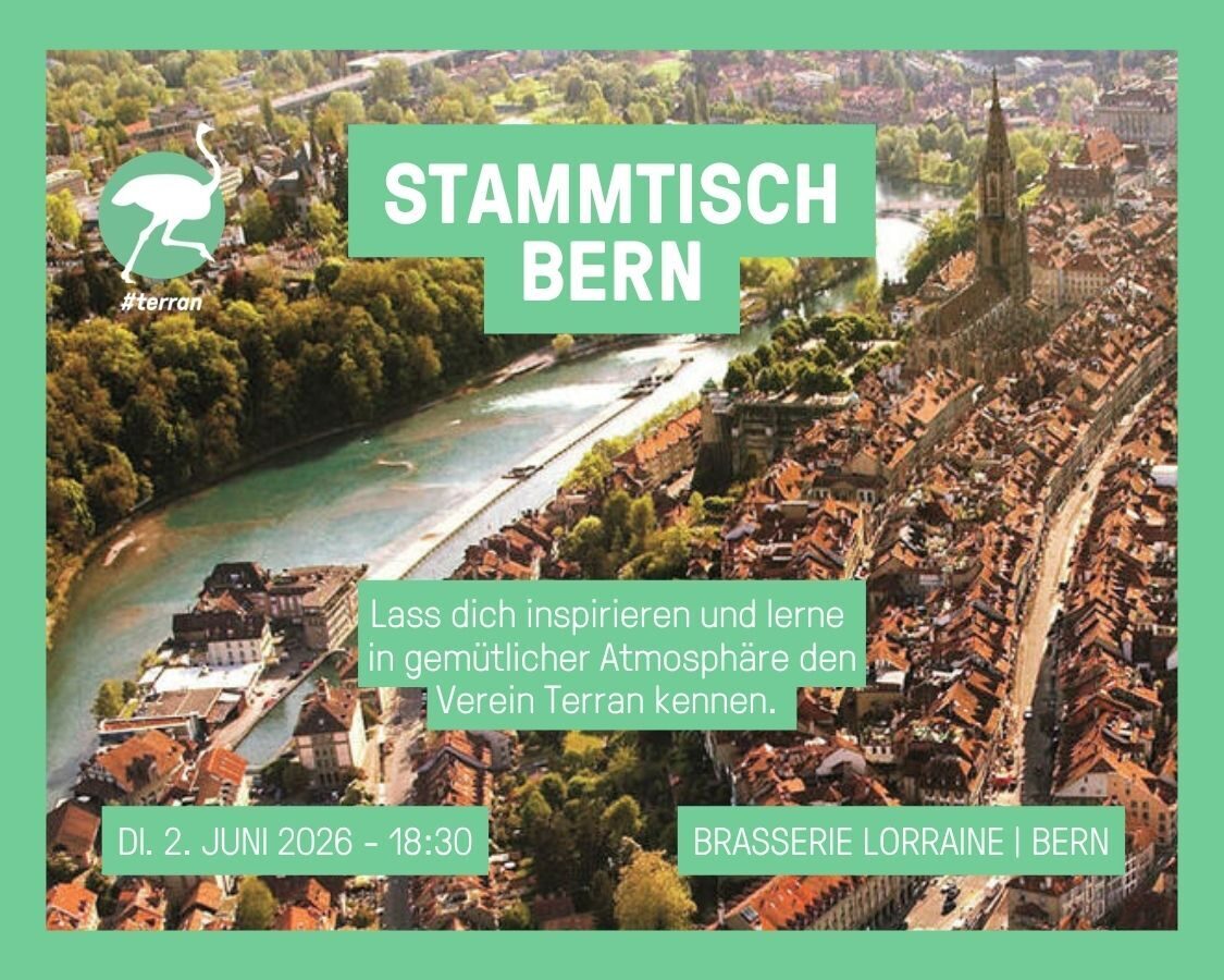 260602 Stammtisch Bern