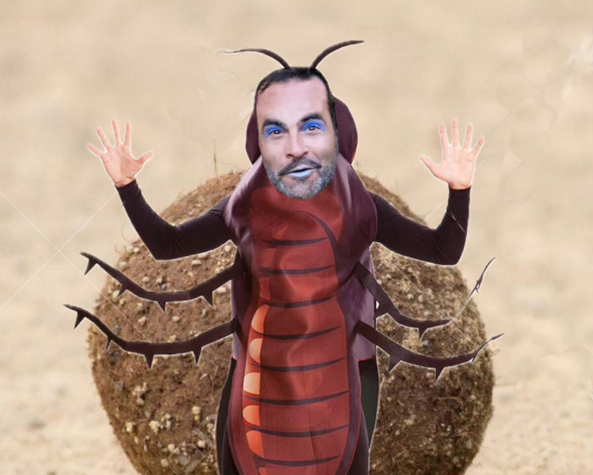 Mathis Vor Mistkugel