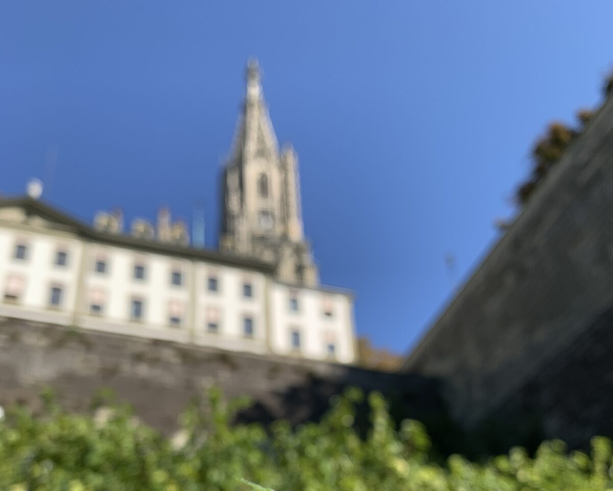 Brennnessel Muenster