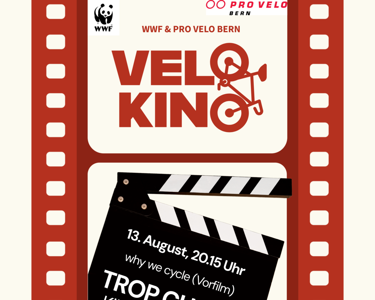 Velokino Plakat