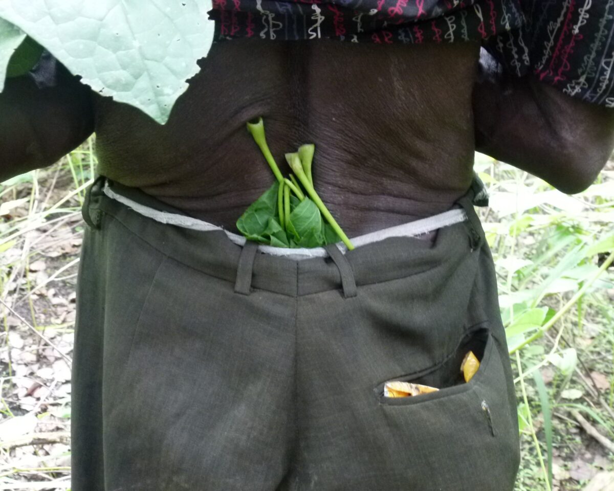 Rückenansicht eines Menschen mit Kräutern im Hosenbund
