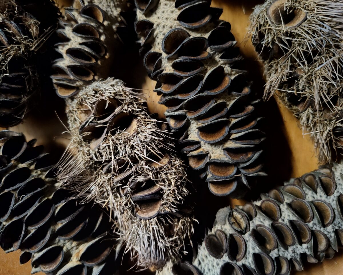 9 Wurzelkinder Tamara