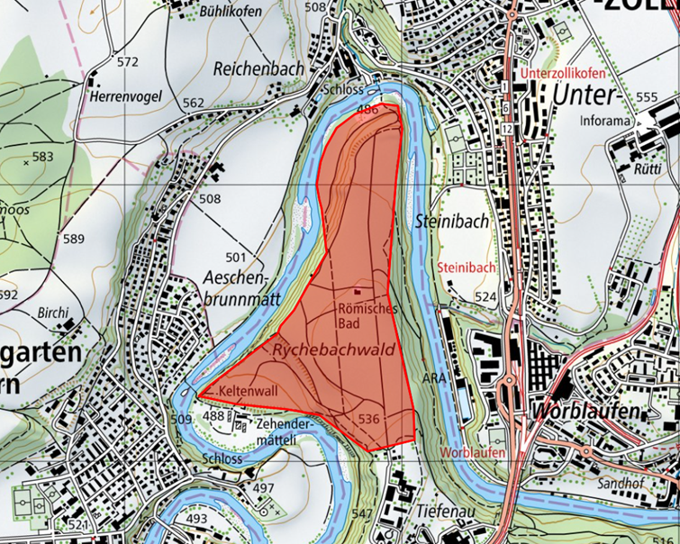 Waldarbeiten Reichenbachwald 2025
