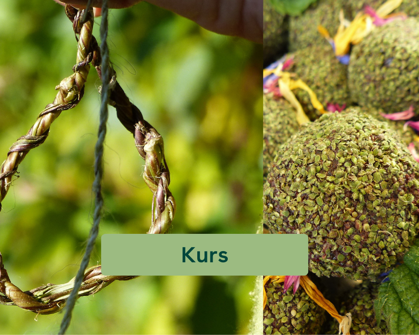 Brennnessel Kochen und Werkeln