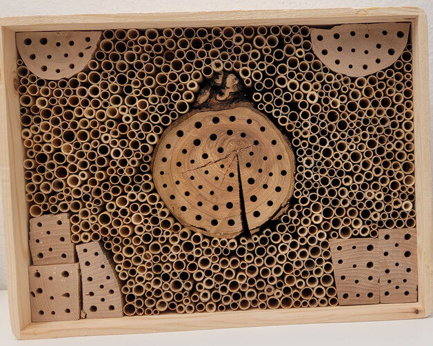 Beispiel eines geeigneten Wildbienenhäuschens Foto R Etter