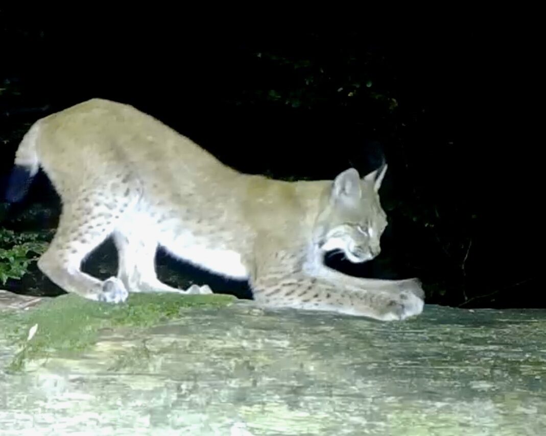 Bildschirmfoto 2023 11 05 um 19 11 07