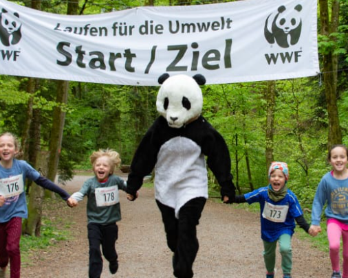 WWF Lauf
